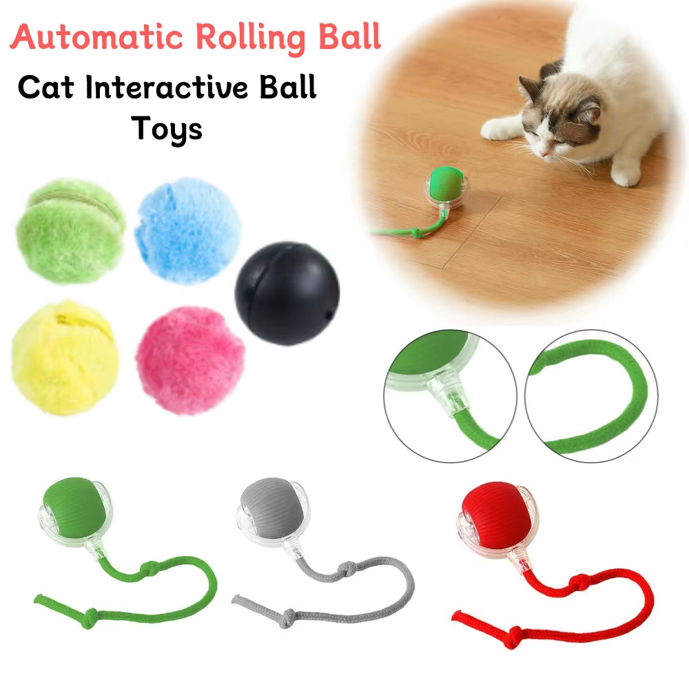 *Interactive Magic Roller Ball for Pets!*🐶🐈