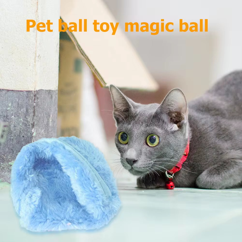 *Interactive Magic Roller Ball for Pets!*🐶🐈